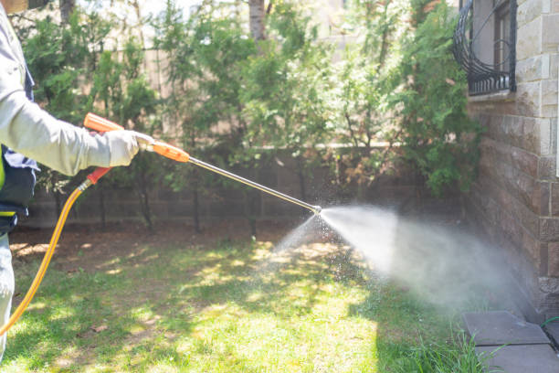 Best Mosquito Control  in Brookside, AL